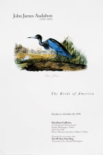 Audubon Birds of America gallery show poster from 1995