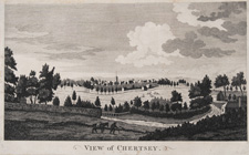 View of Chertsey