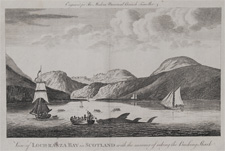 View of Loch Ranza Bay in Scotland with the manner of taking the Basking Shark