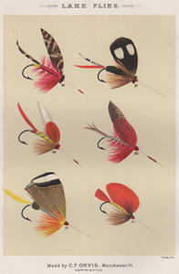 1892 Lake Flies Plate G - Antique Mary Orvis Marbury Fly Fishing Print
