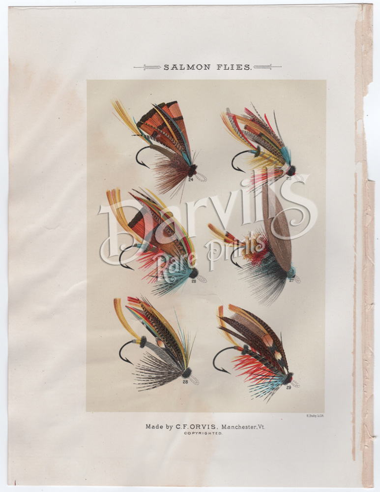 Antique fly fishing print, fishing flies, Mary Orvis Marbury