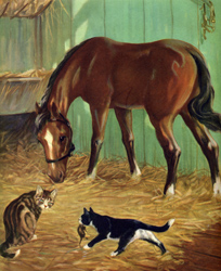 The horse and cats are good friends